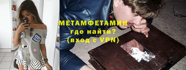 прущие грибы Богданович