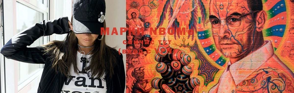 прущие грибы Богданович