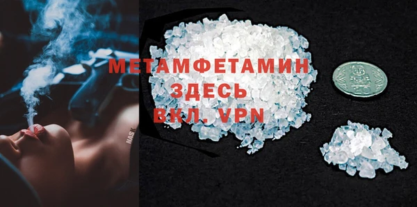 прущие грибы Богданович