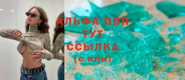 экстази Бородино