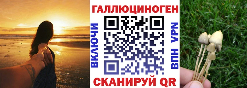 Псилоцибиновые грибы GOLDEN TEACHER blacksprut вход Краснокаменск